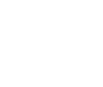 SANECO