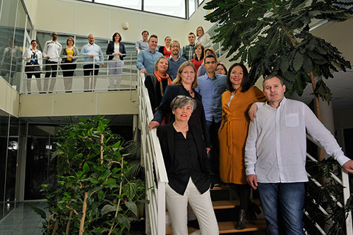 Force Internationale Saneco équipe lin