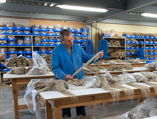 Qualité force Saneco lin