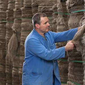 Matière première saneco lin étoupe